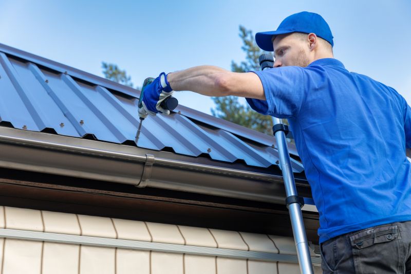 Tin Roof Installation in Alexandria, VA