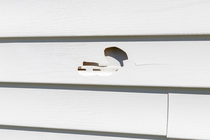Vinyl Siding Repair - Image 7